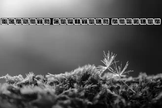 Hornets Capitals Regular Schriftart examples