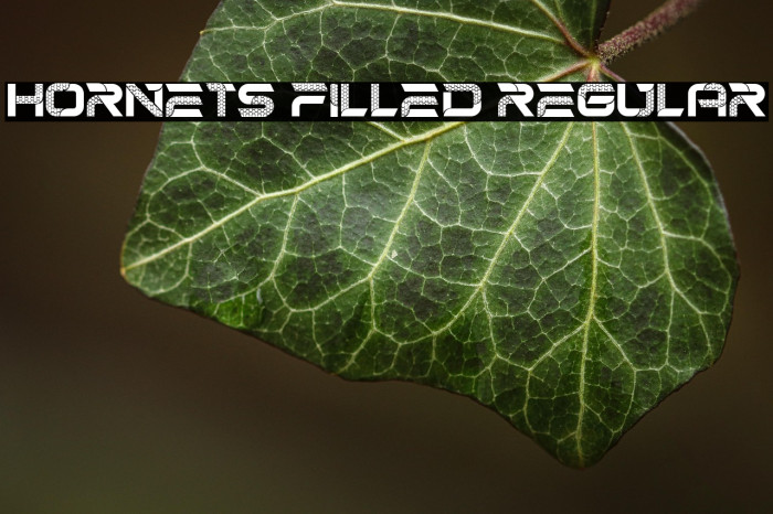 Hornets Filled Regular Example 1