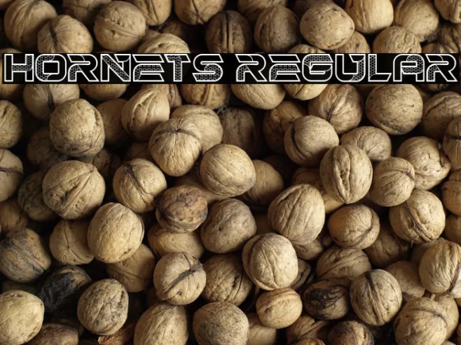 Hornets Regular Example 3