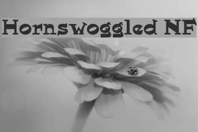 Hornswoggled NF Font examples