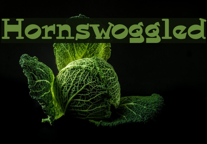Hornswoggled Font examples