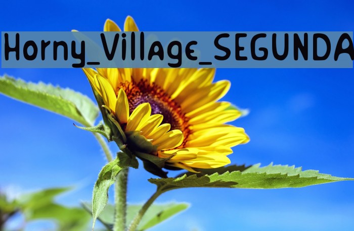 Horny_Village_SEGUNDA Font examples