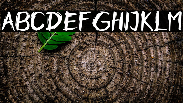 Horobi Regular Example 1