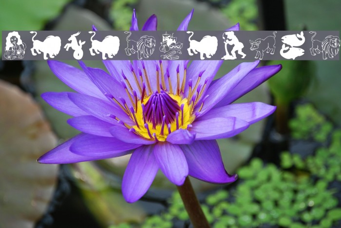 HorosCopies Font examples
