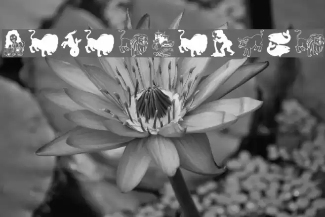 HorosCopies Font examples