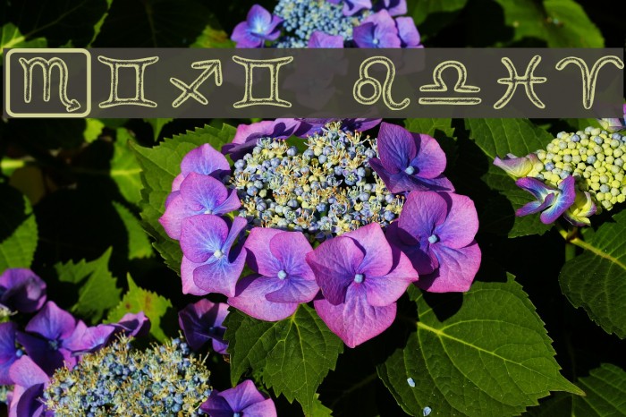 Horoscopicus Regular Font examples