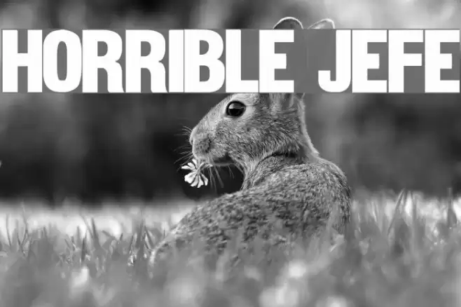 Horrible Jefe Font examples
