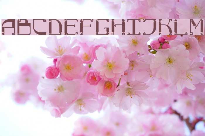 Horrid Normal Font examples