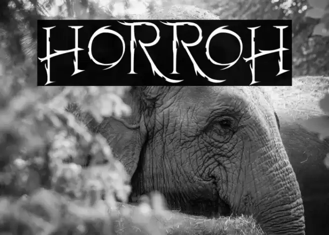 Horroh Font examples