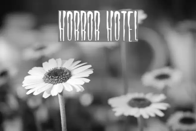 Horror Hotel Font examples