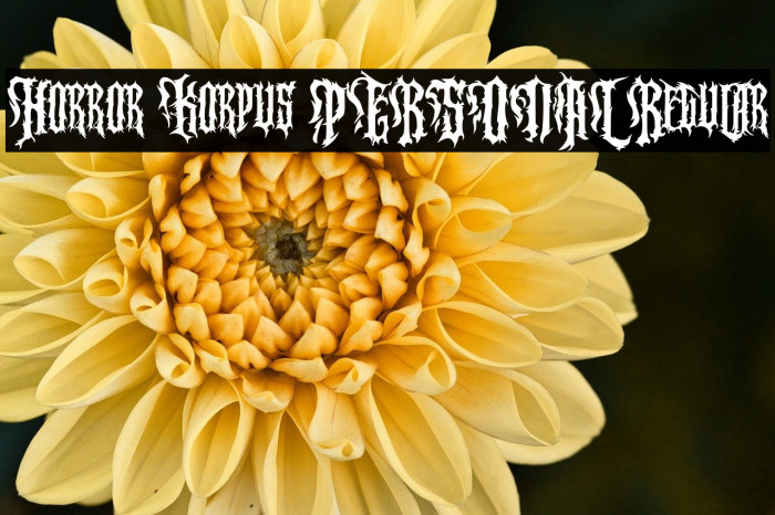 Horror Korpus PERSONAL Regular Example 2