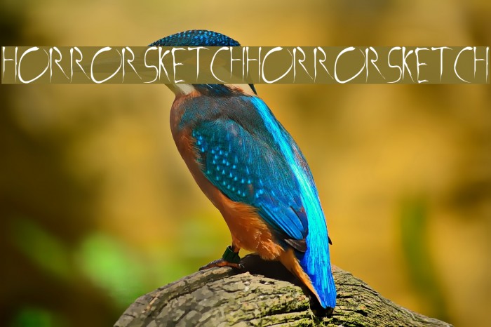 Horror Sketch Horror Sketch Example 2