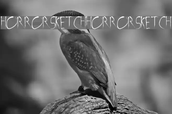 Horror Sketch Horror Sketch Font examples