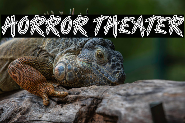 Horror Theater Example 3