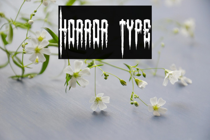 Horror Type Example 3