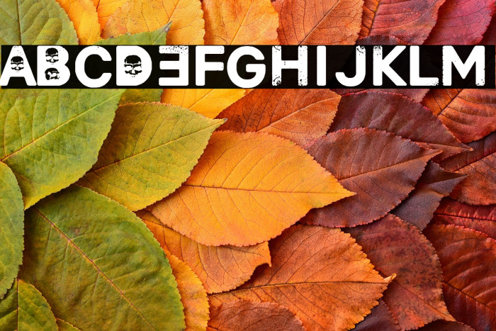 Horror in Laietana Street Example 3