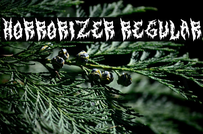 Horrorizer Regular Example 2