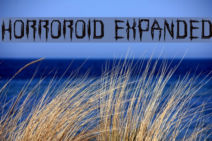 Horroroid Expanded Fonte examples