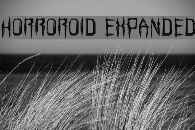 Horroroid Expanded Font examples
