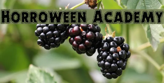Horroween Academy Example 2