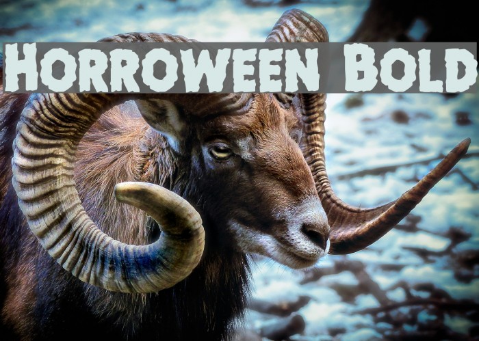 Horroween Bold Font examples