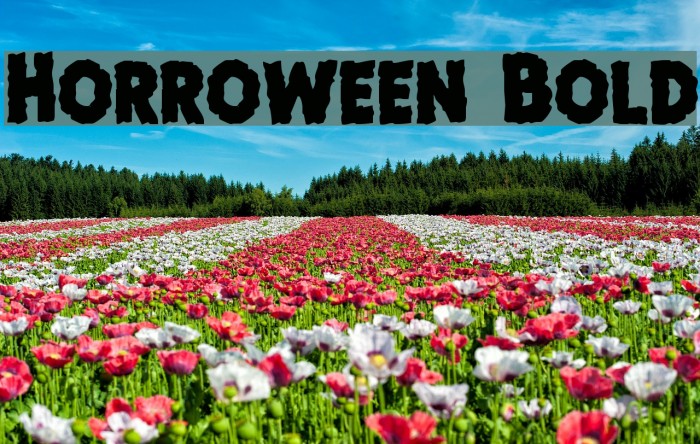 Horroween Bold Font examples