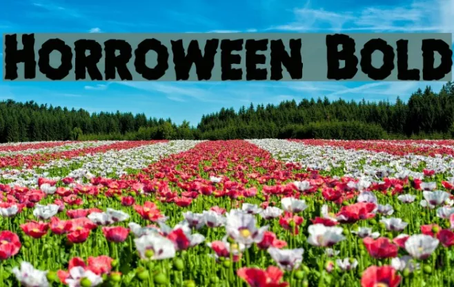Horroween Bold Example 3