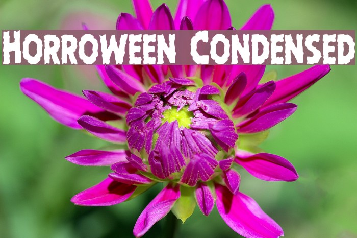 Horroween Condensed Example 1
