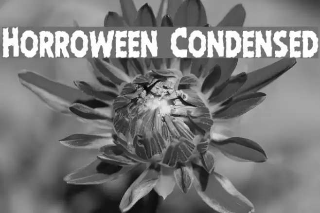 Horroween Condensed examples