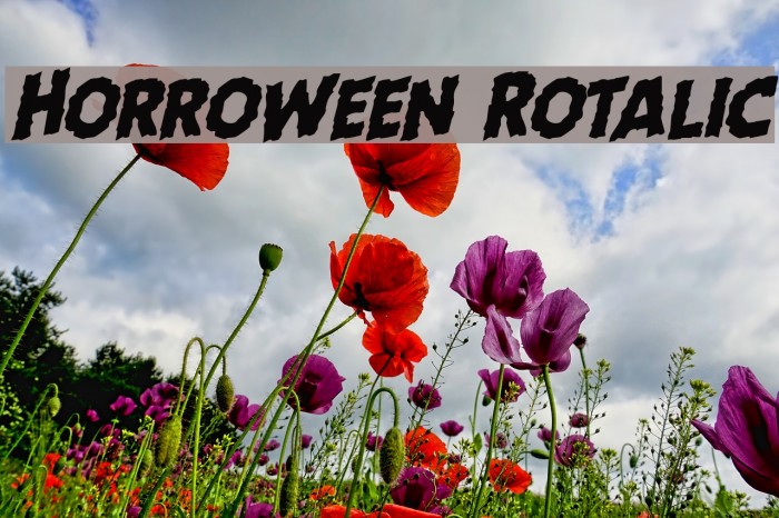 Horroween Rotalic Font examples