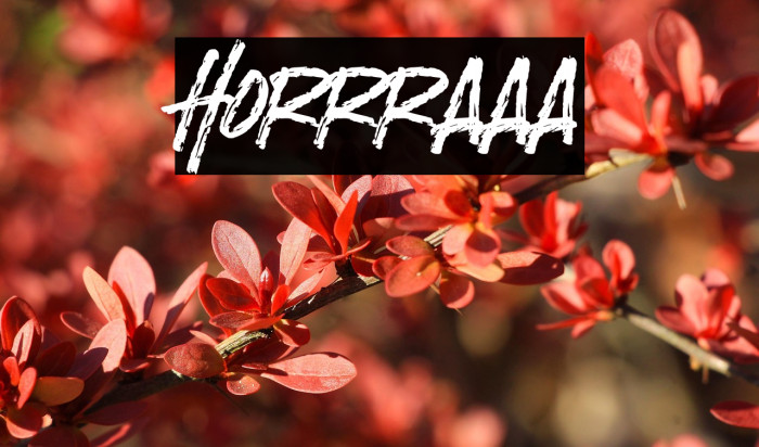 Horrraaa Example 3