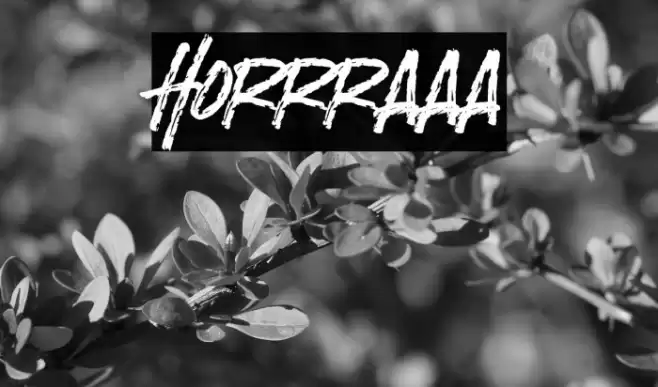 Horrraaa Font examples