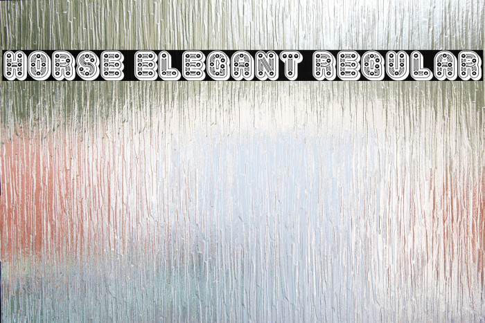 Horse Elegant Regular Font examples