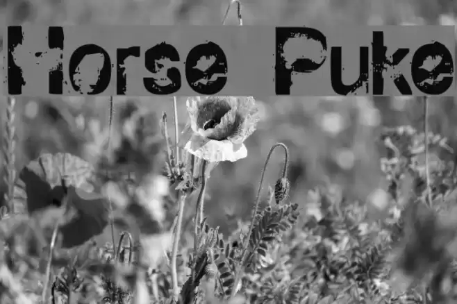 Horse Puke Font examples