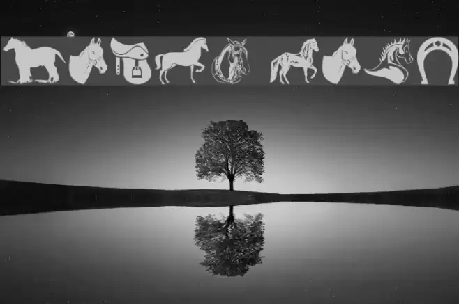 Horse Font examples