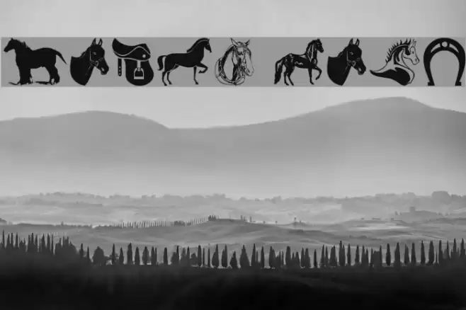 Horse Font examples