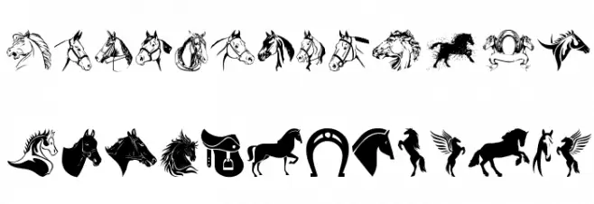 Horse خط أحرف صغيرة