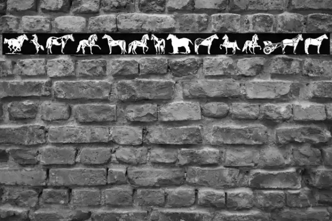 Horse Font examples