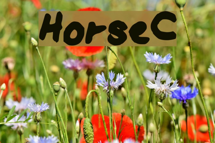 HorseC Font examples