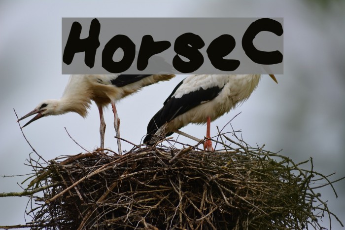 HorseC Font examples