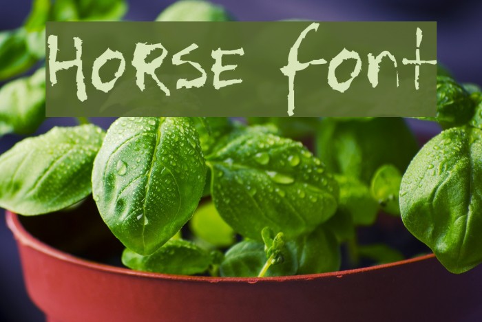 Horse Font examples