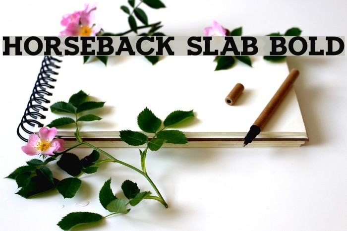 Horseback Slab Bold Font examples