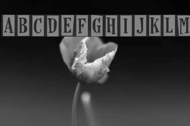 Horseshoes And Lemonade Fonte examples