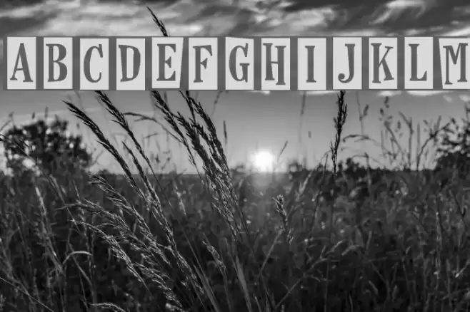 Horseshoes And Lemonade Fonte examples