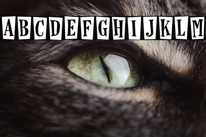 Horseshoes and Lemonade Example 1