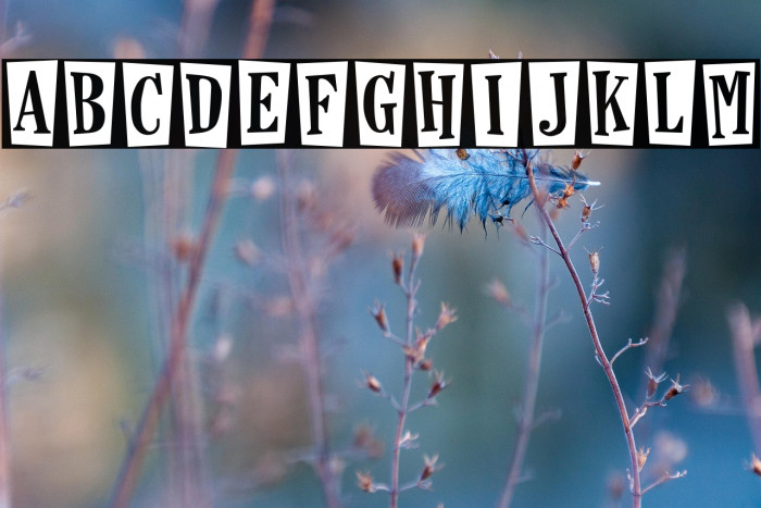 Horseshoes and Lemonade Example 2