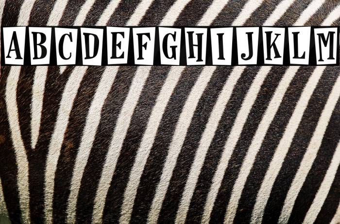 Horseshoes and Lemonade Example 3