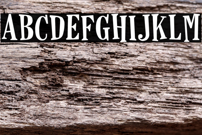 Horseshoes Example 2