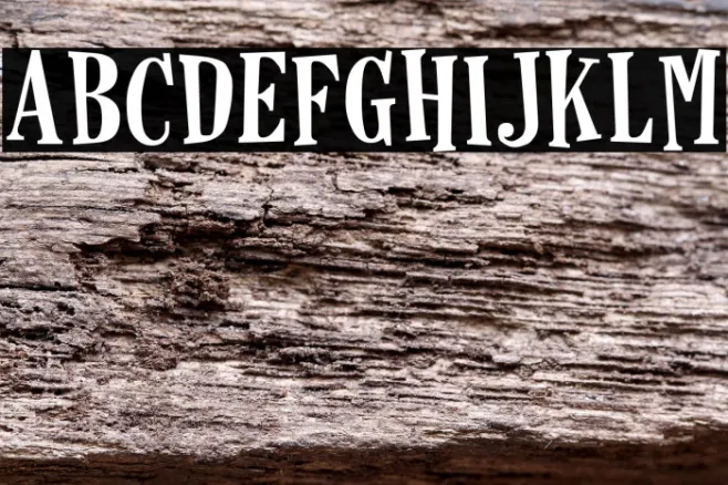 Horseshoes Example 2