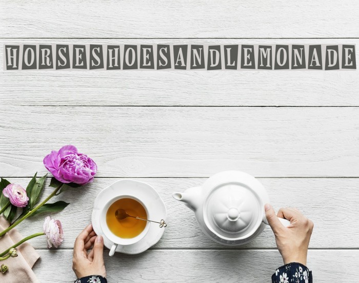 HorseshoesAndLemonade Font examples